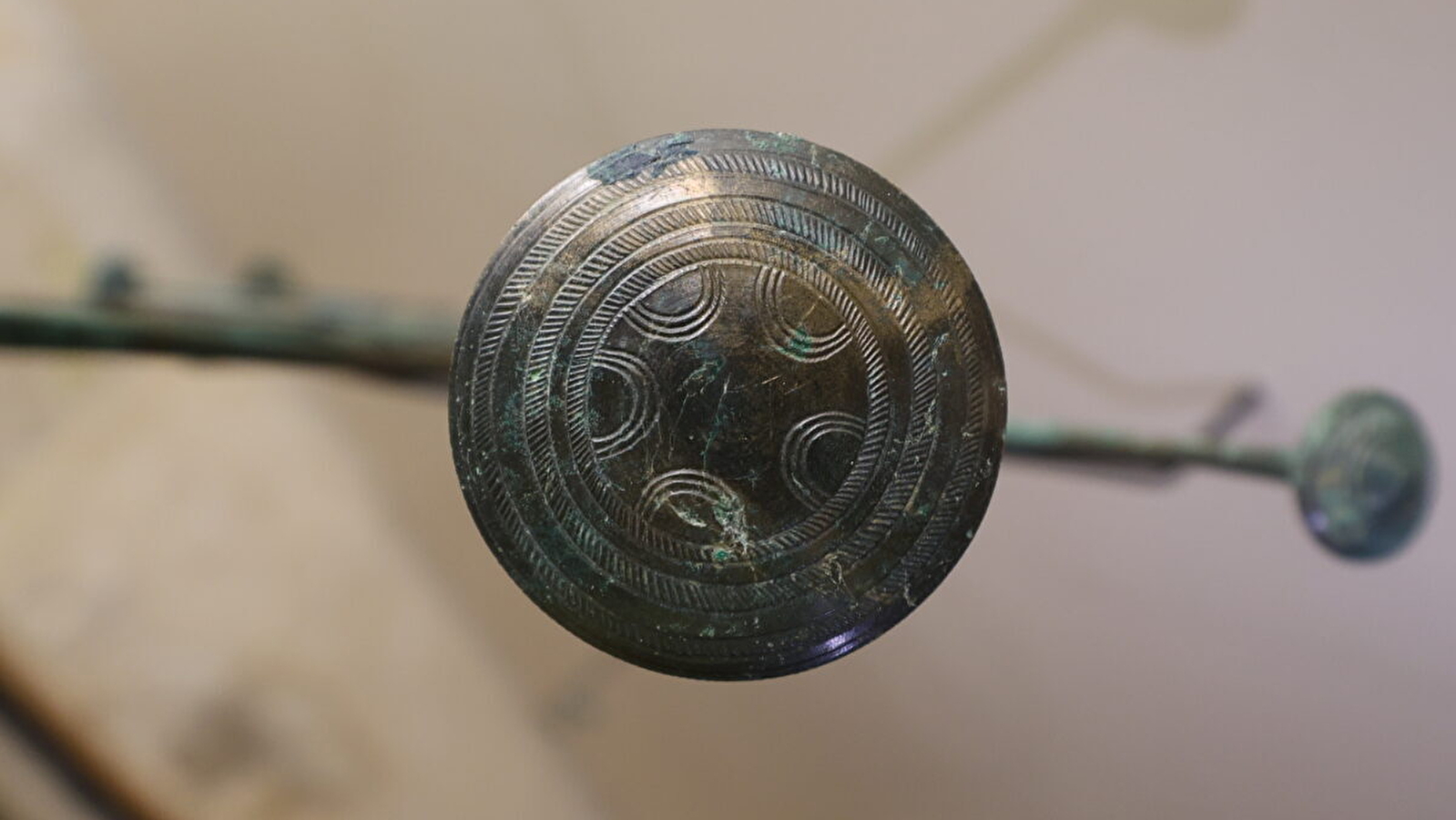 Visite guidée « Les métiers de l’archéologie »