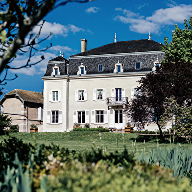 Du Château des Thorins au Château du Moulin-à-Vent