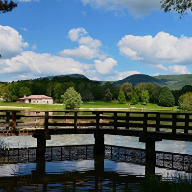 Circuit VTT n°4 (rouge) - Forêt et contreforts du Revermont