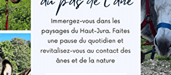 Séjour en itinérance dans le Haut-Jura, au pas de l'âne -