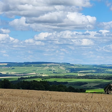 Vititours - Balade en trottinette électrique