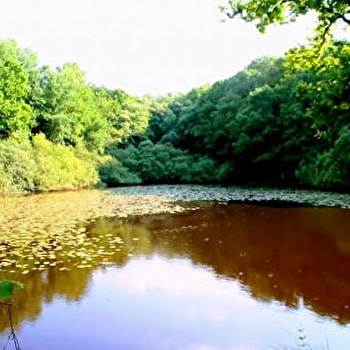 L'étang de Moutiers - MOUTIERS-EN-PUISAYE