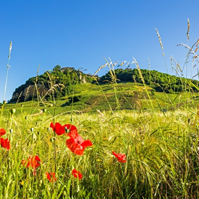 Echappée Jurassienne VTT - Étape 3 : Poligny - Perrigny