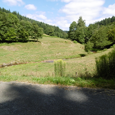 Le Terrier de Montvernot 