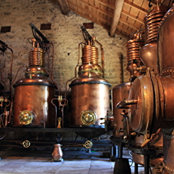 Circuit de l'Ecomusée du Pays de la Cerise - FOUGEROLLES-SAINT-VALBERT