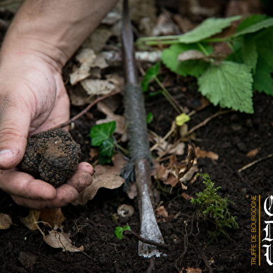 Séjour Vin et Gastronomie - Groupe