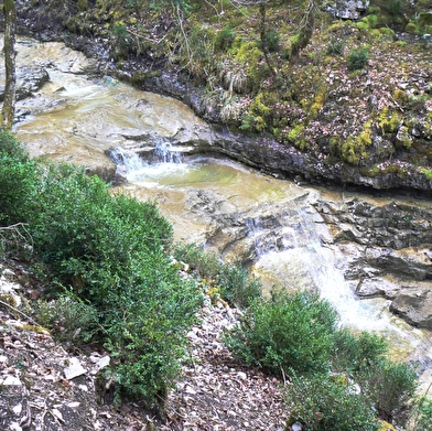 Les voiles du Landeyron - Parcours marche nordique n°5