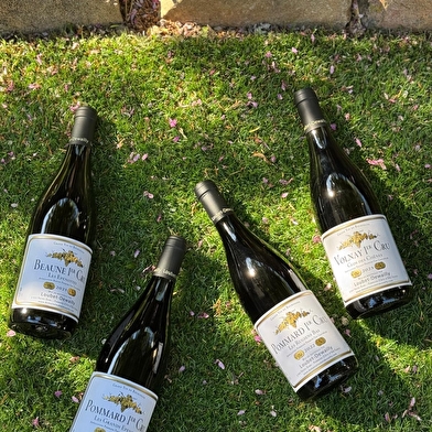 Caveau de dégustation Loubet-Dewailly - Découverte des vins de la Côte de Beaune
