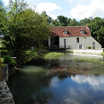 Le Moulin de Janlard - NANNAY