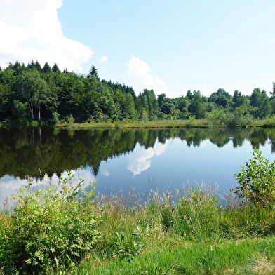 Le Parc naturel regional des Ballons des Vosges