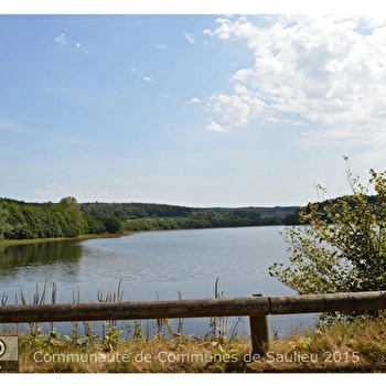 Boucle des Sapins de Noël - CHAMPEAU-EN-MORVAN