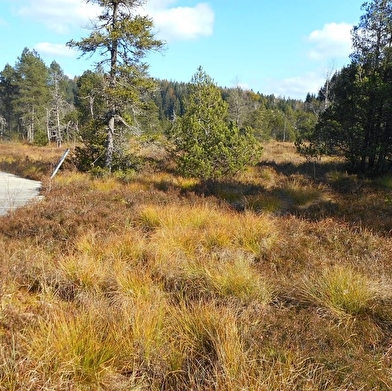 D'une Joux à l'Eau'tre' - 5 jours en itinérance