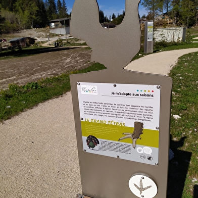 Sentier thématique : mystère des traces