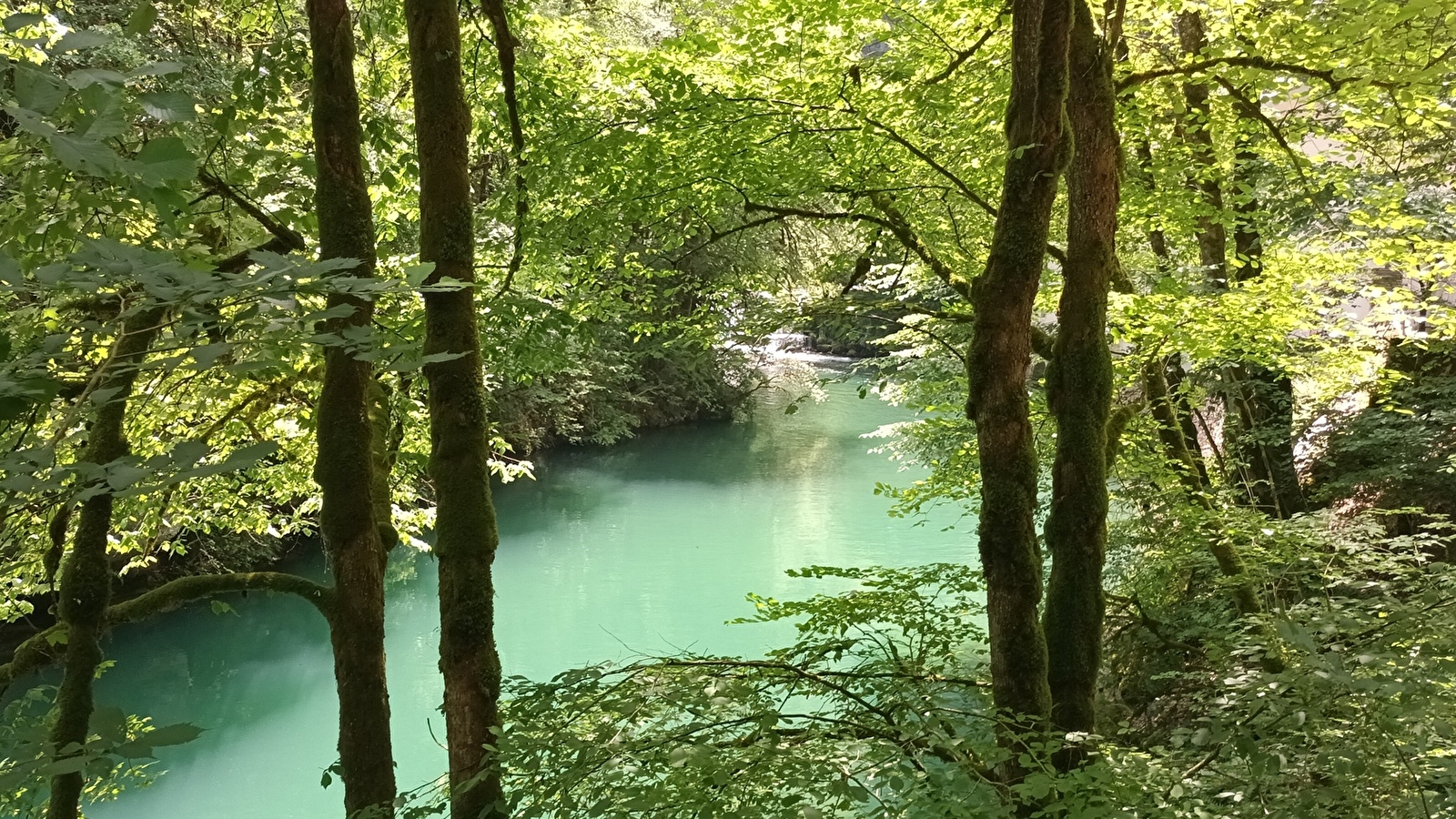 Aiguillons de Brasse