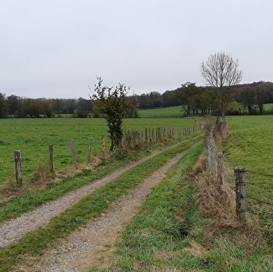 Circuit Gravel n°6 (rouge) Chemins des bois de Bresse