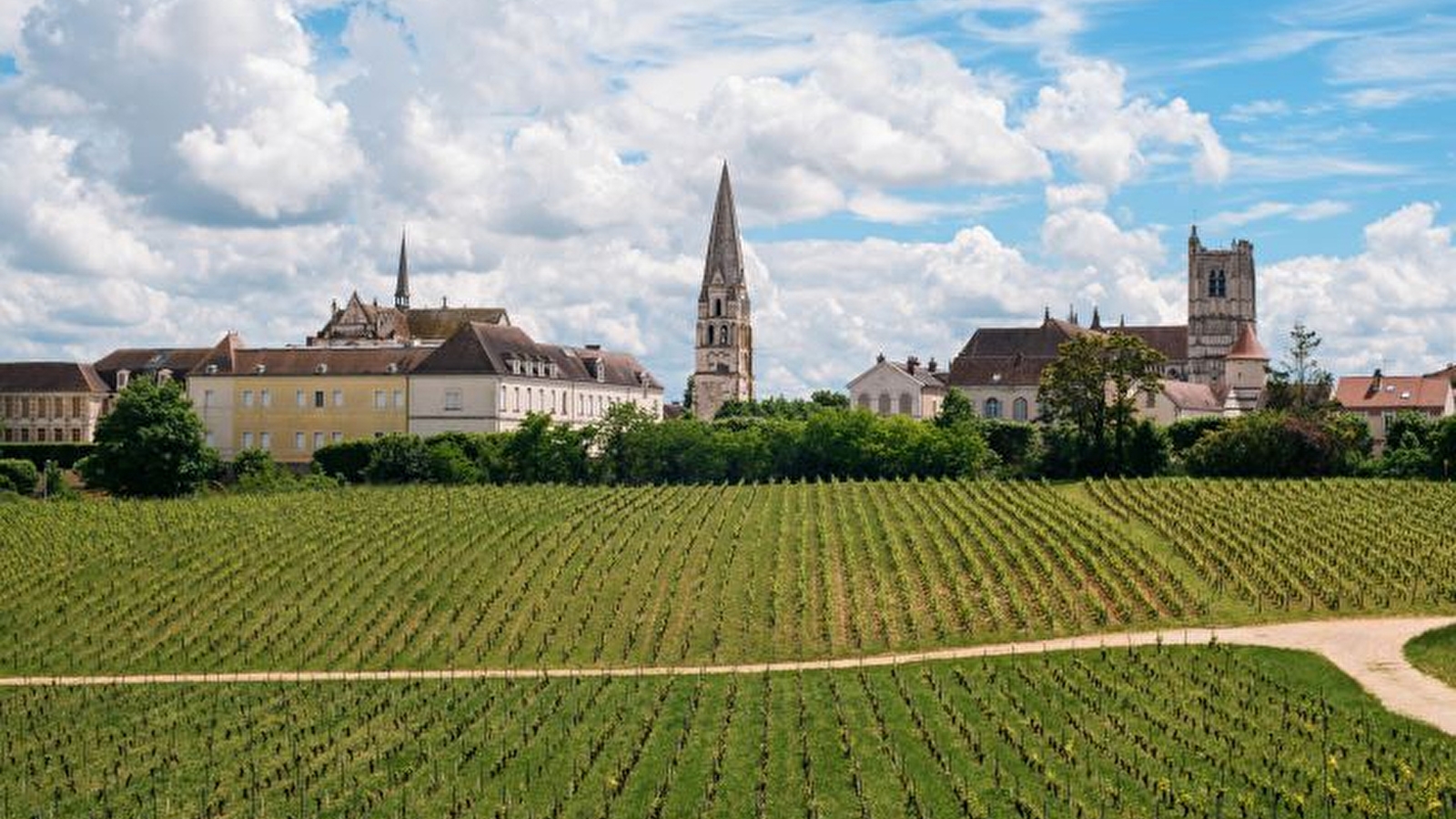 Visite guidée - Clos de la Chainette