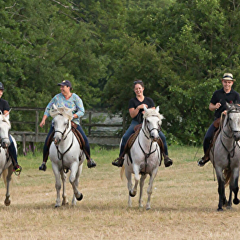 Centre équestre Camargue Equitation Loisirs en Nièvre - COSNE-COURS-SUR-LOIRE