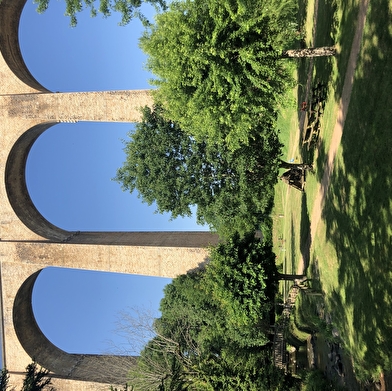 Les fleurs sous le viaduc