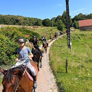 Poney club du Croux
