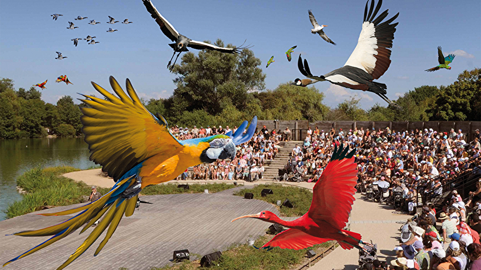 Circuit l'Ain à vélo - Entre Dombes et Val de Saône au départ de Villars les Dombes
