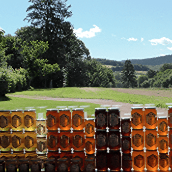 Les Ruchers du Morvan - CHATEAU-CHINON (CAMPAGNE)