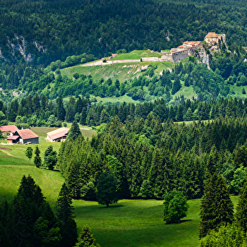 Roche Sarrazine - n°1 - LES FOURGS