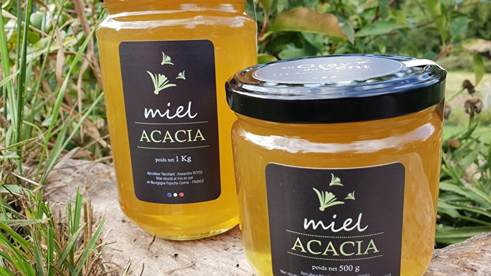 Les Ruchers au Gray du vent