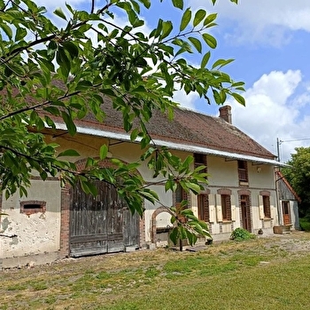 Les hirondelles - CHARNY OREE DE PUISAYE