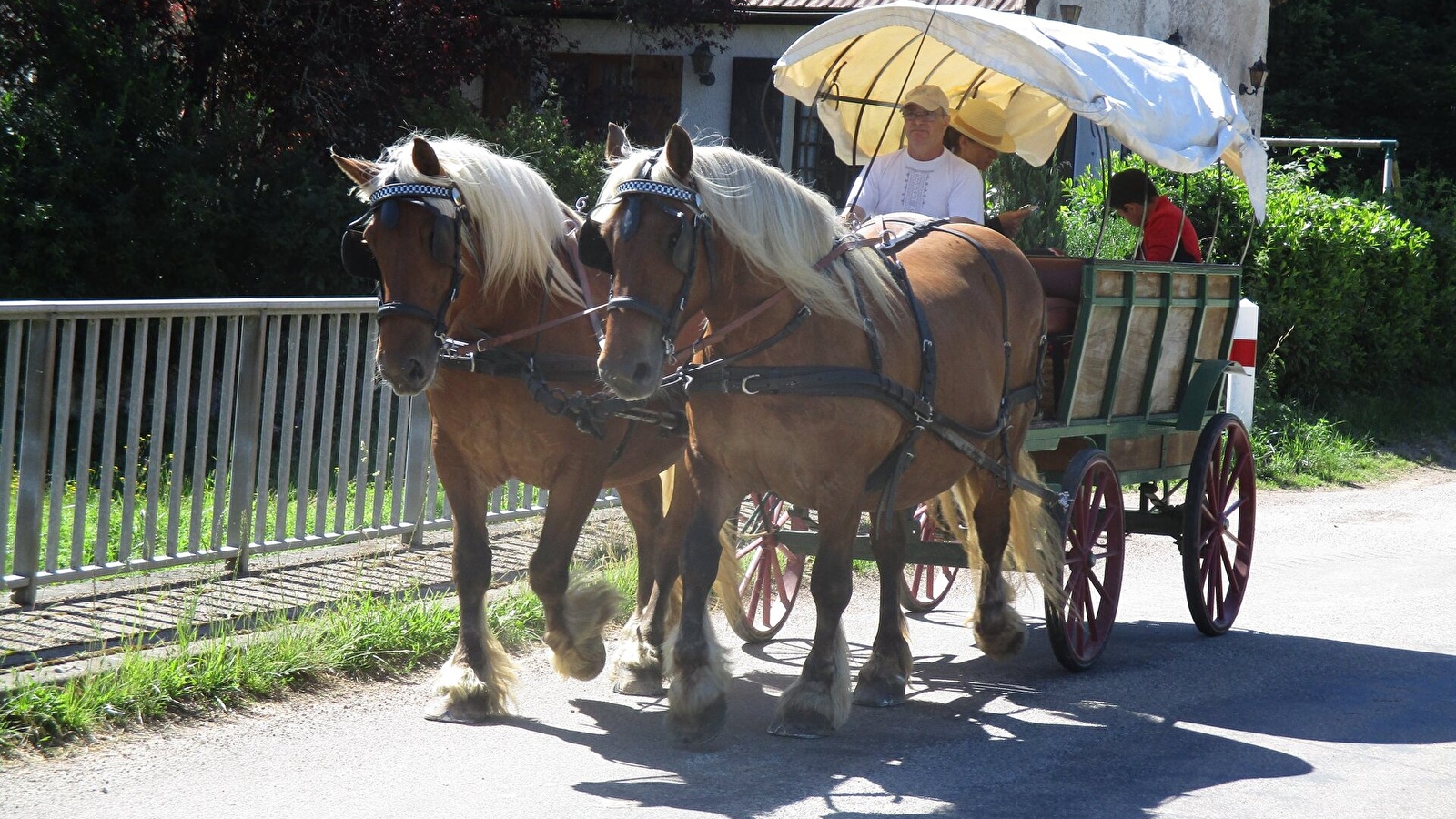 Promenade Alluysienne en calèche
