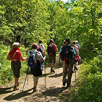 La grotte du Célary  - LAMOURA
