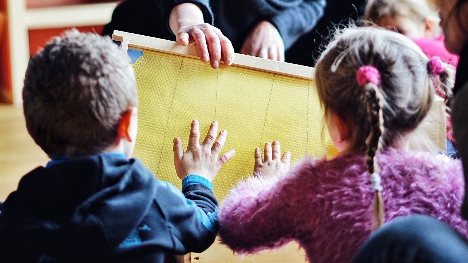 Lancement des inscriptions 123Nature 2026