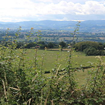 A travers vignes et champs - MARCIGNY
