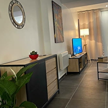 Chez Guillaume et Delphine - Appartement Buffon - MONTBARD