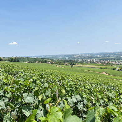 Château de Lachassagne