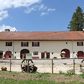Chez les Hypolites - SAINT-PIERRE