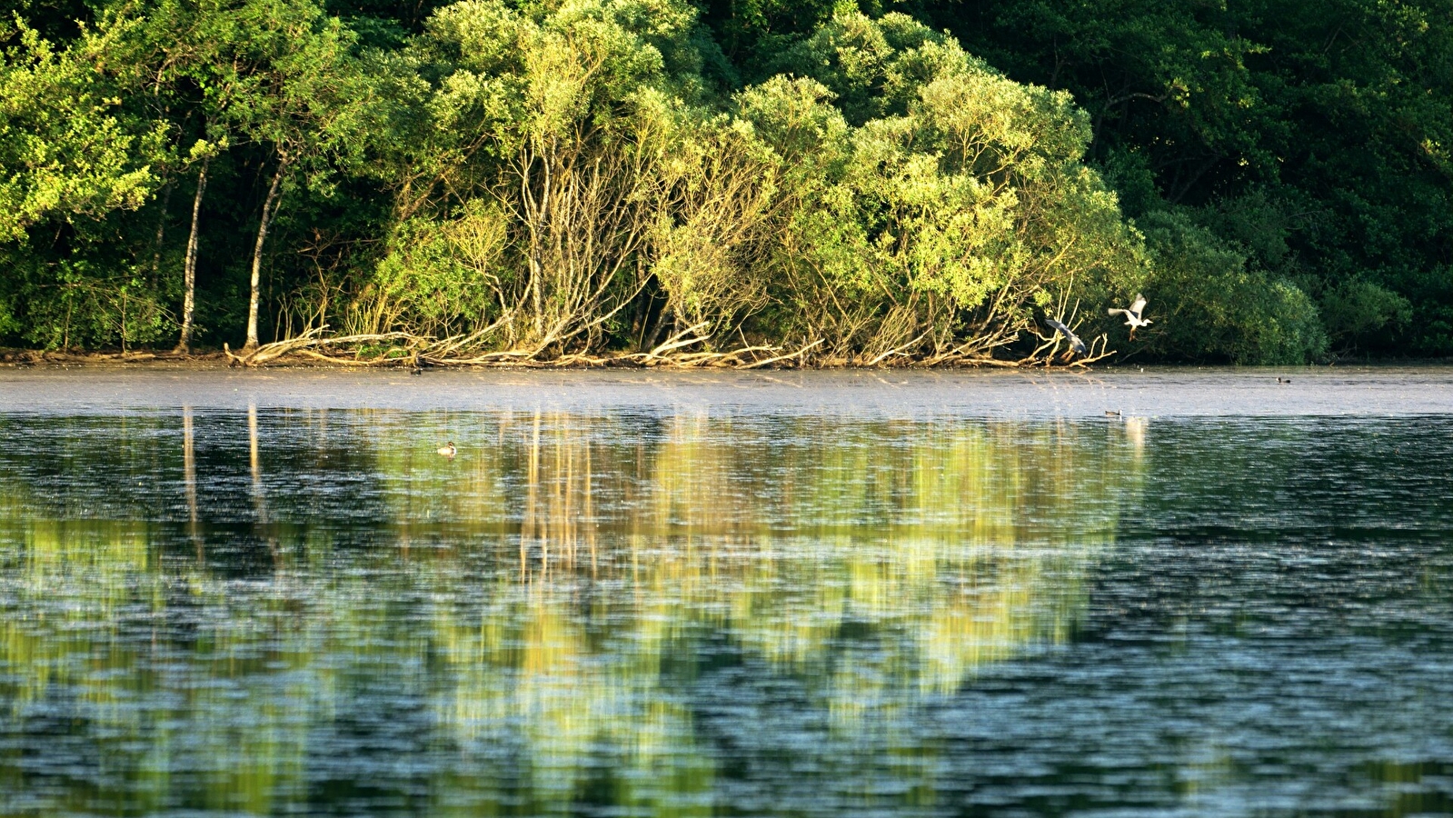 GRP de la Bresse Comtoise