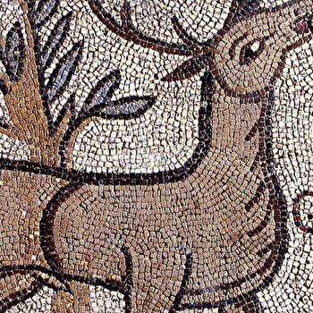 Puzzles antiques - SENS