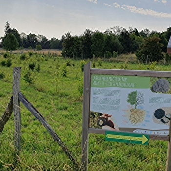 Truffière et parcours pédagogique du Pays Seine-et-Tilles  - IS-SUR-TILLE