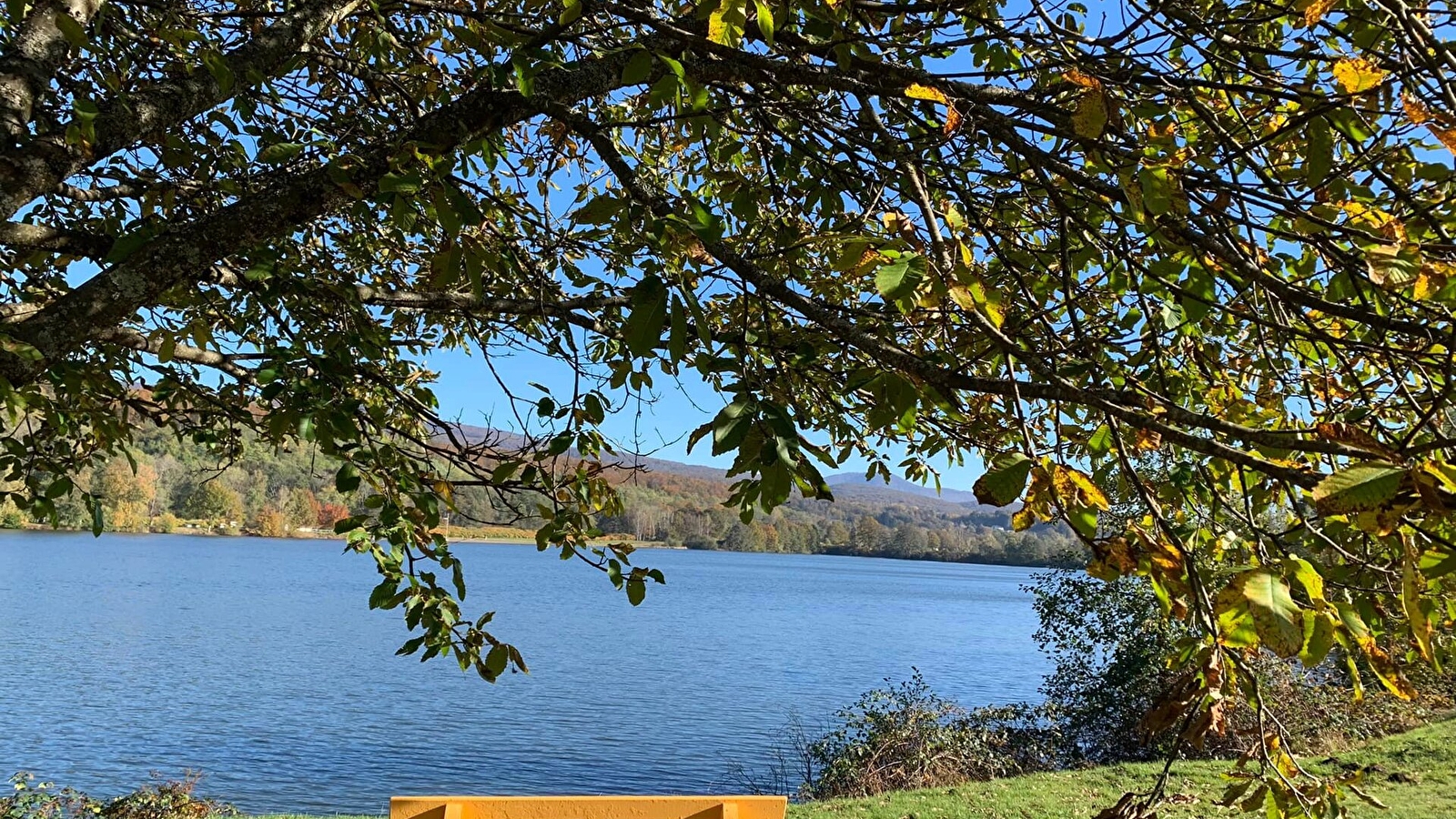 Gite l'Orière des Bois