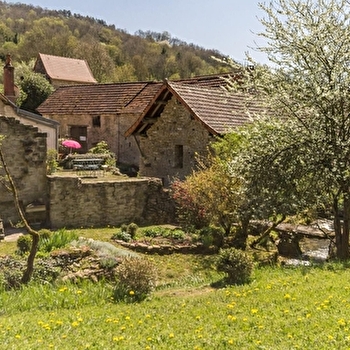 Sous la Glycine - CORMOT-VAUCHIGNON