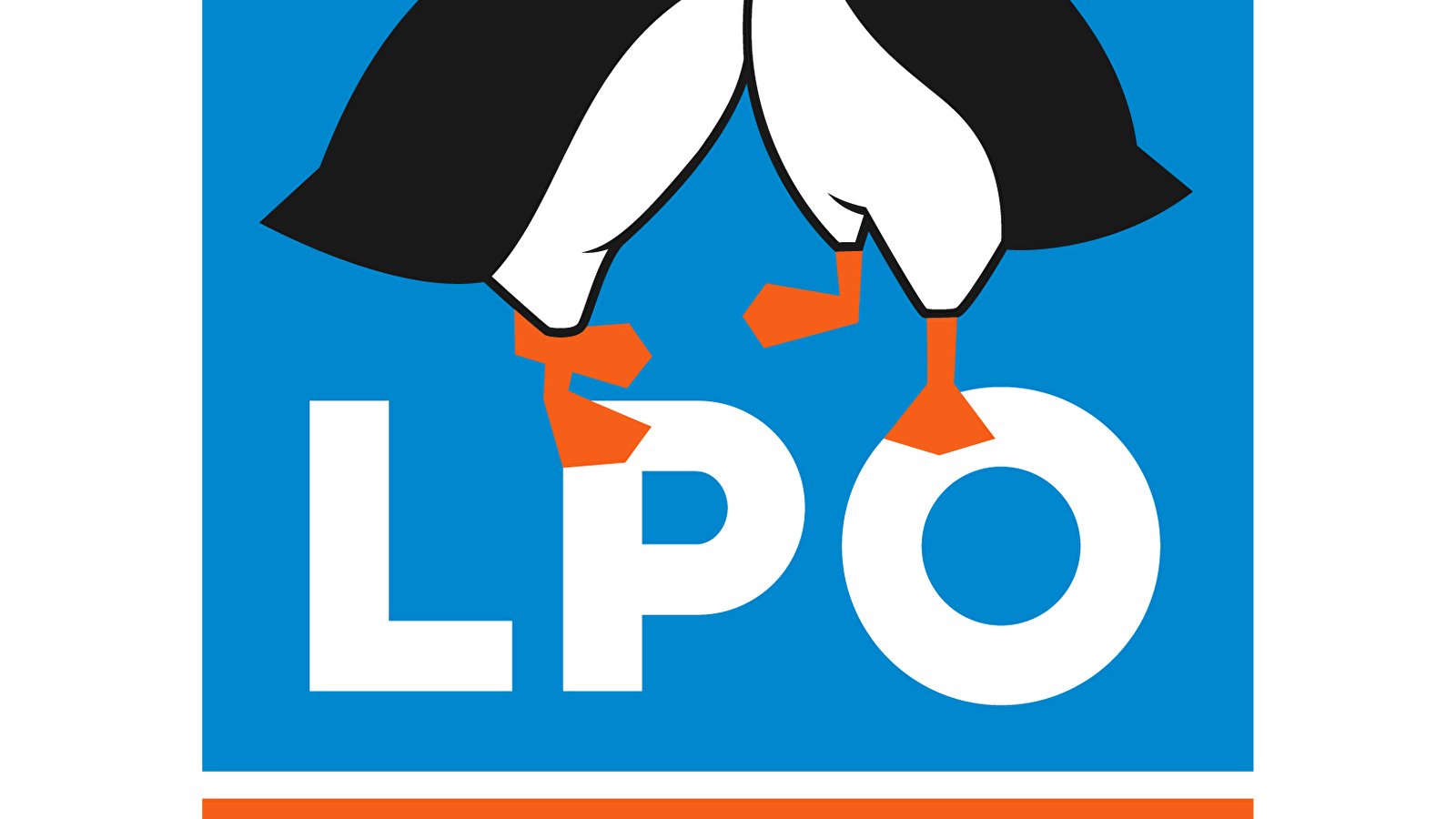 Sortie spéciale enfants 3/12 ans : Le réveil de la forêt enchantée