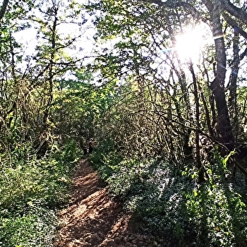 Le Printemps des ENS de Saône-et-Loire : l’ENS d’Azé, du toit des grottes à la Mouge - AZE