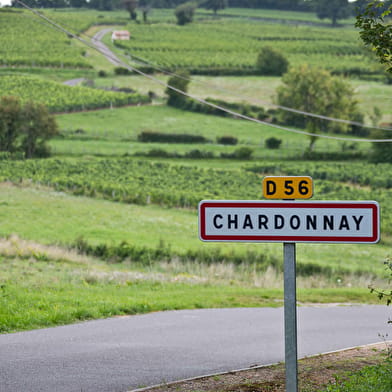 Boutique de Chardonnay (Cave de Lugny)
