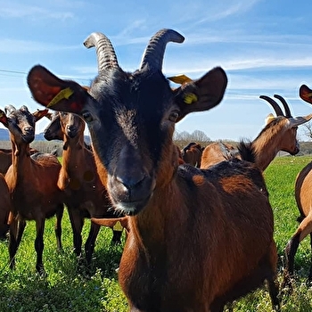 La Ficelle Bleue - SORNAY