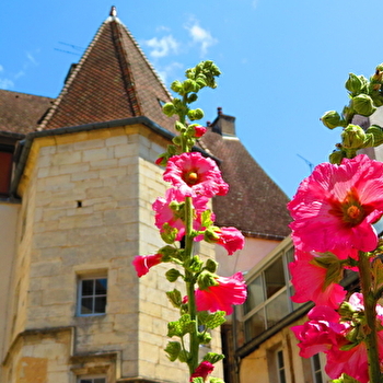 La Distillerie - GRAY