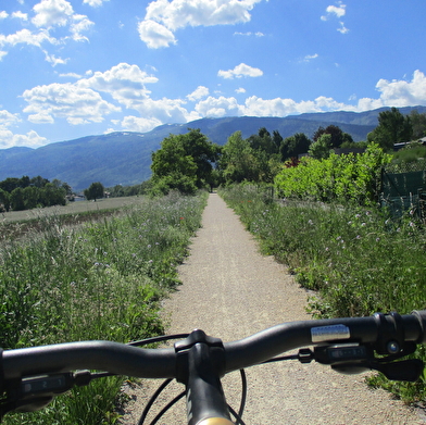 Voie verte : Gex-Divonne, par l'ancienne voie ferrée