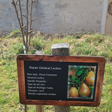 Verger conservatoire de Gemeaux