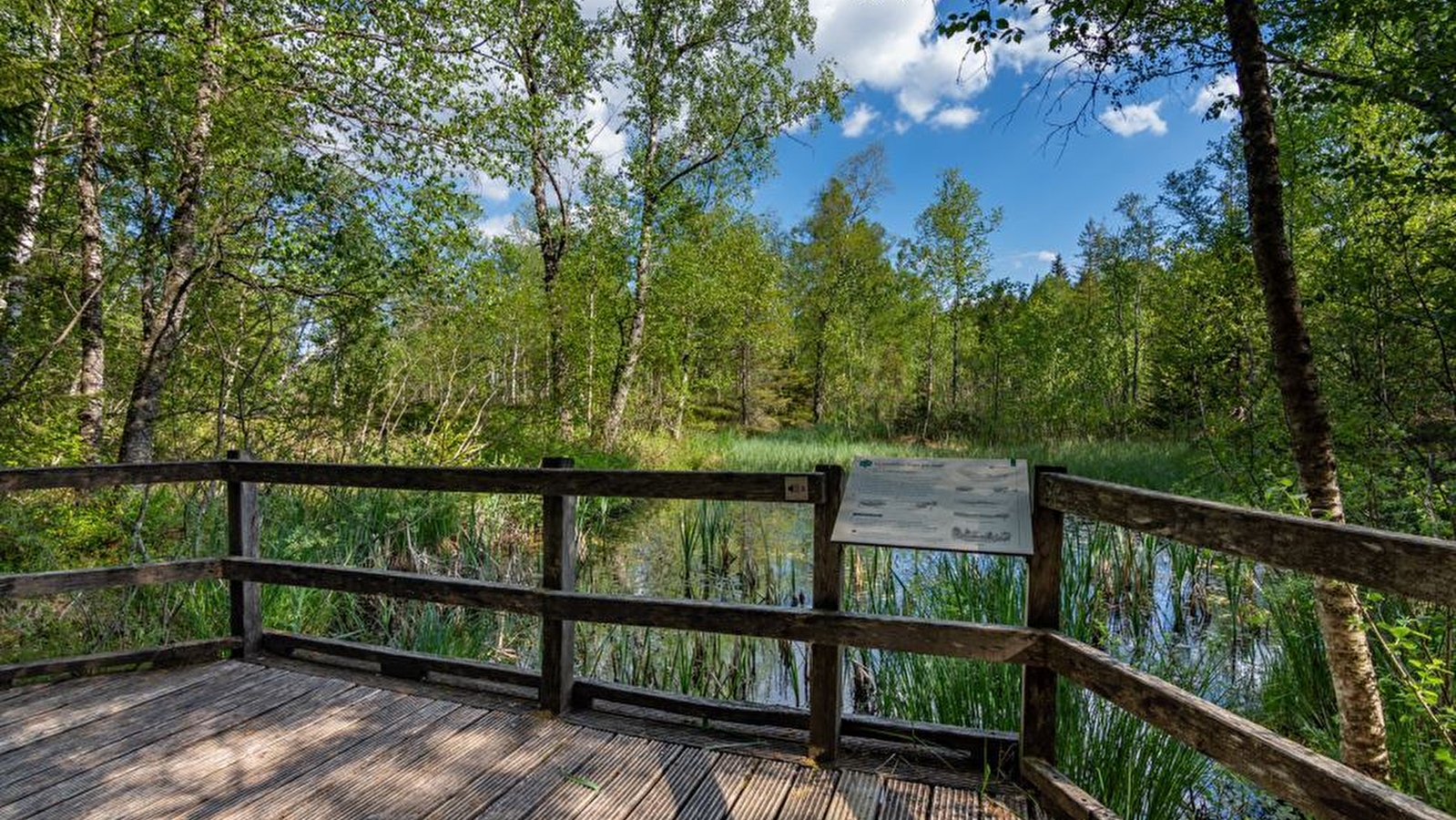Tourbières de Frasne-Bouverans (Grande boucle - départ Moulin)