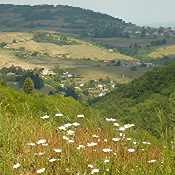 Circuit VTT B3 de Beaujeu à St Didier/Beaujeu - BEAUJEU