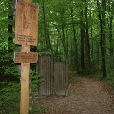 Parcours de santé à Châtenois
